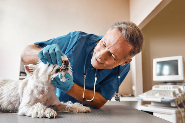 Best Emergency Tooth Extraction in Prosperity, WV